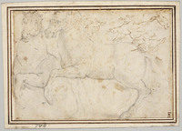 KT 2005 010
<br/>
Studie van paarden en vogels
<br/>
<em>Anoniem It (17de eeuw)</em>